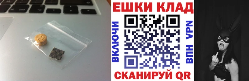 Купить закладки  Грайворон  Экстази 99% 