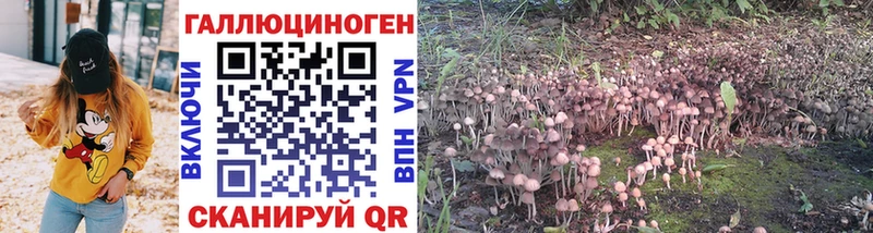 Галлюциногенные грибы Magic Shrooms  Купить закладки  Грайворон 